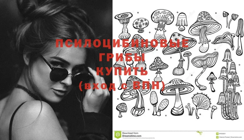 Галлюциногенные грибы Psilocybine cubensis  наркота  Белёв 